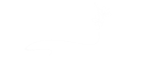 Логотип студії Kvitnu
